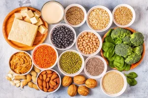 Protein-Rich Foods