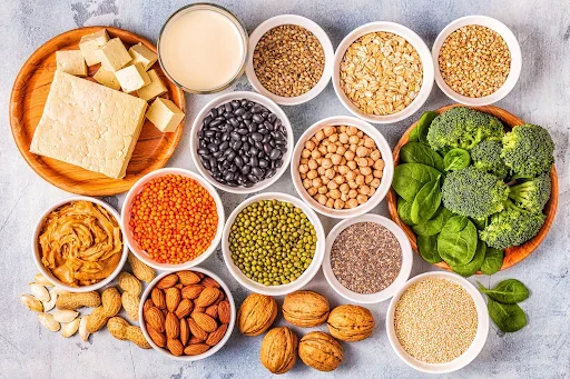 Protein-Rich Foods